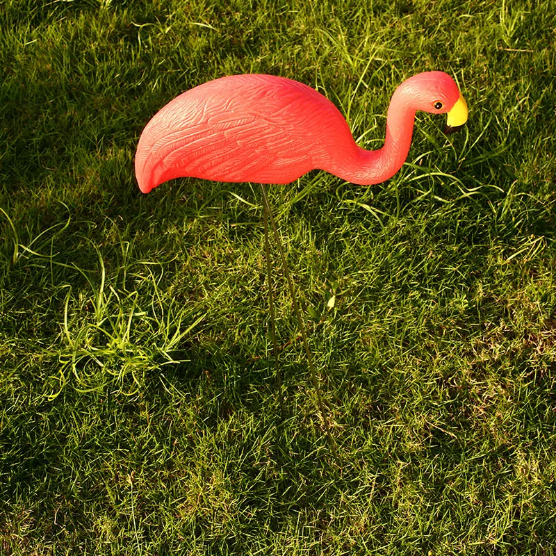plastic flamingo plastic flamingo