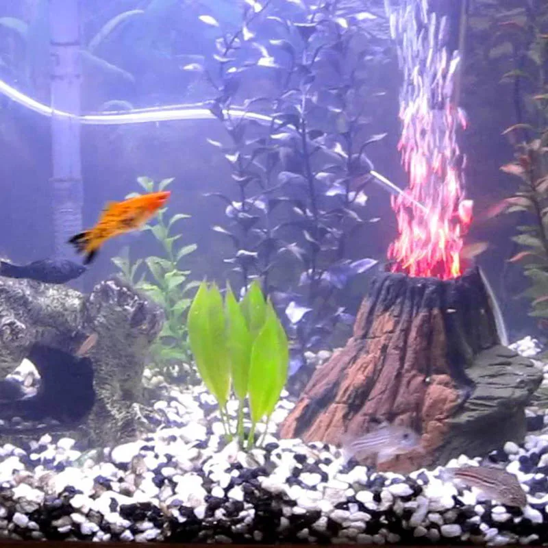Fish Tank Volcano Cheap Shop clc.cet.edu