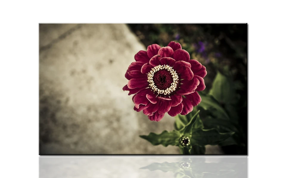 H743 Beautiful red flower, large HD canvas print painting artwork, wall