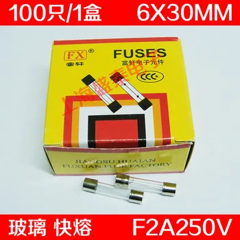 

F2AL250V Glass Insurance Tube F2A250V F2A Fuse 2A 6X30MM 100 PCS