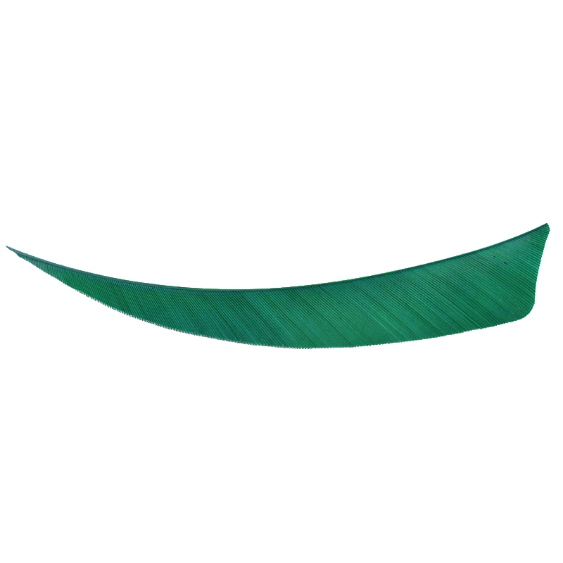 12-PCS-5-Archery-Hunting-Shooting-Shield-Cut-RW-Archery-Fletches-DIY-Arrow-Feather-Fletchings-Turkey (3)