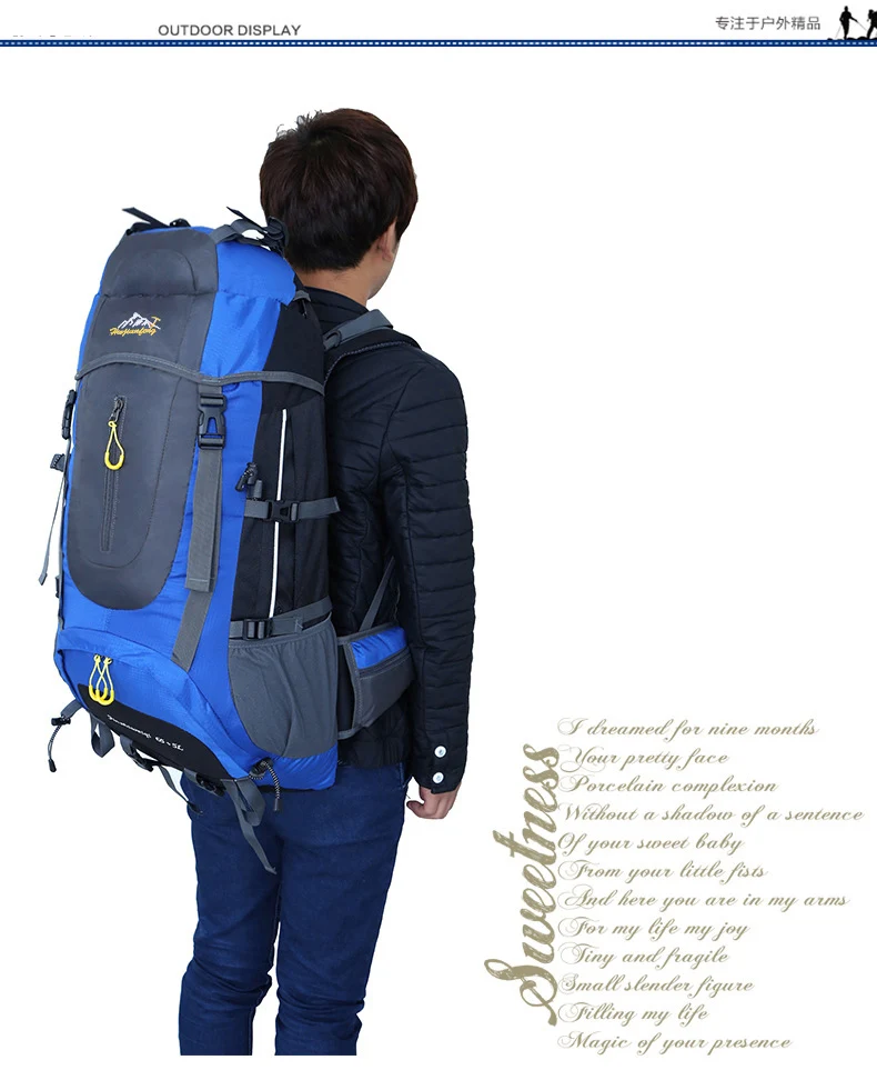 4342466200_741038267