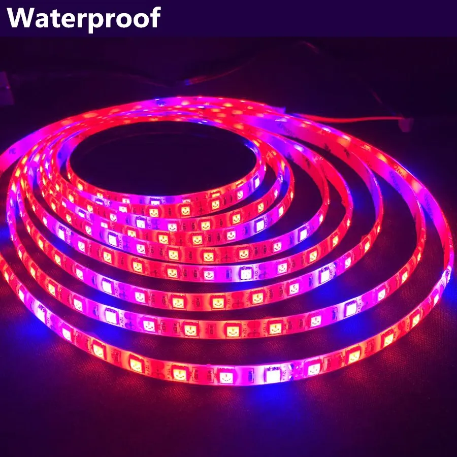 LED-Grow-Lights-5M-60leds-m-DC12V-Growing-LED-Strip-IP65-Waterproof-Plant-Growth-Light-for_