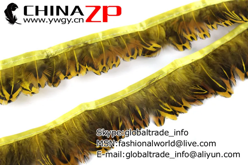 Pointed RIngneck Pheasant Plumage Feather Trim (61)