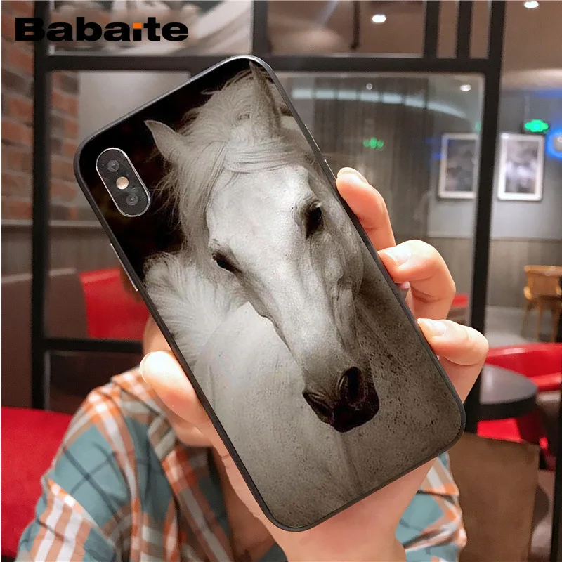 Frederik The Great beauty horse
