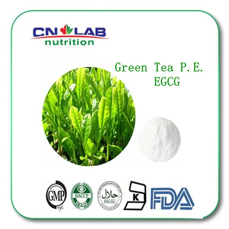 Buy 3 Get 1 free  Green Tea extract 98% Tea polyphenols diet weight loss product women slimming for sale