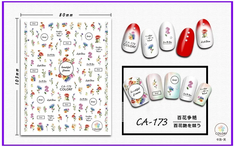 CA-173 