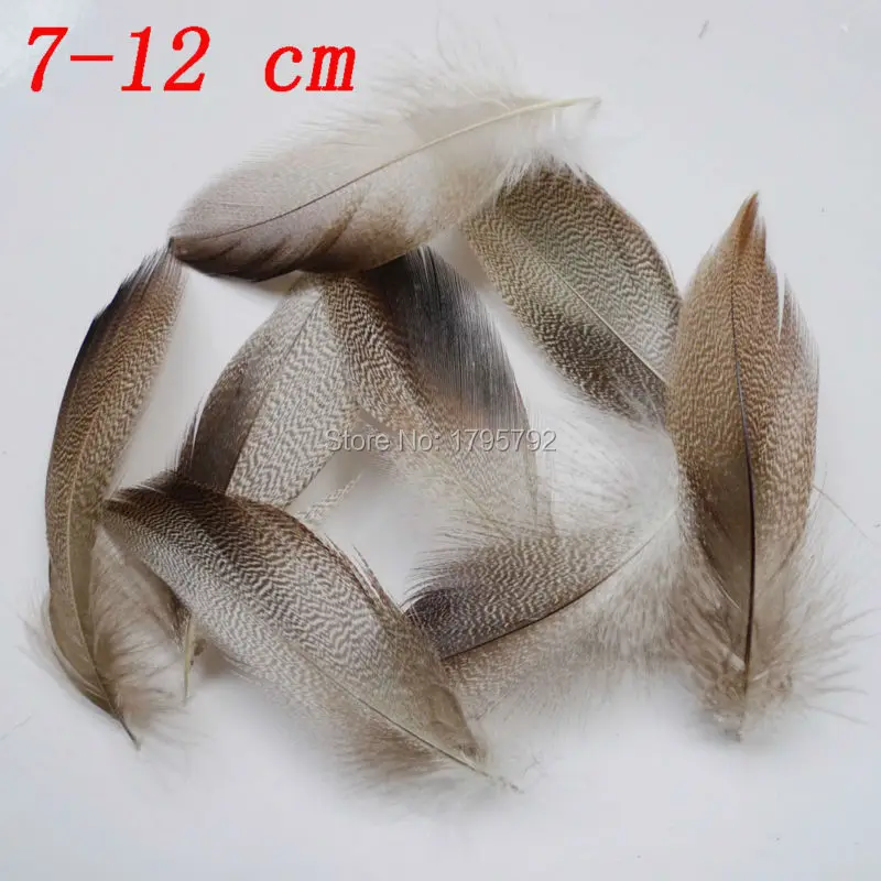 

20/ 50 Pcs 7-12cm Duck Pheasant Chicken Feathers For DIY Crafts Clothing Jewelry Headwear Christmas Holiday Decorations Plumes