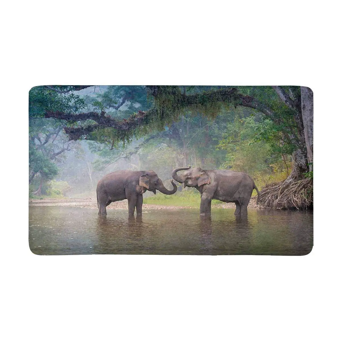 

Asian Elephant in Natural River Deep Forest Indoor Entrance Doormat Non Slip Door Mat Entrance Rugs Home Decor