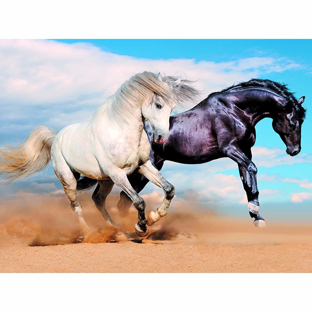 Купить Мустанга Лошадь В России