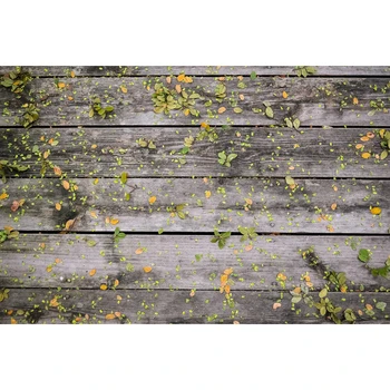 

Thin vinyl fabric Photography backdrops Greens covered textural wood background digital Printed photo studio Photo Backdrops
