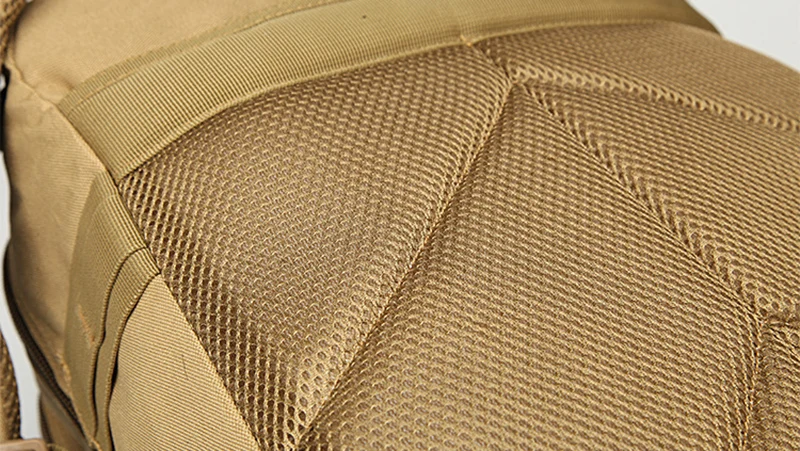 3552580496_563317607