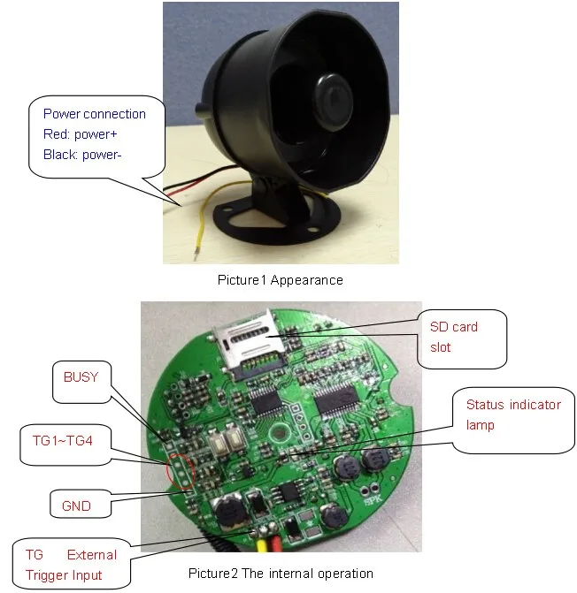 HTB1gm3dMXXXXXcCXFXXq6xXFXXXP