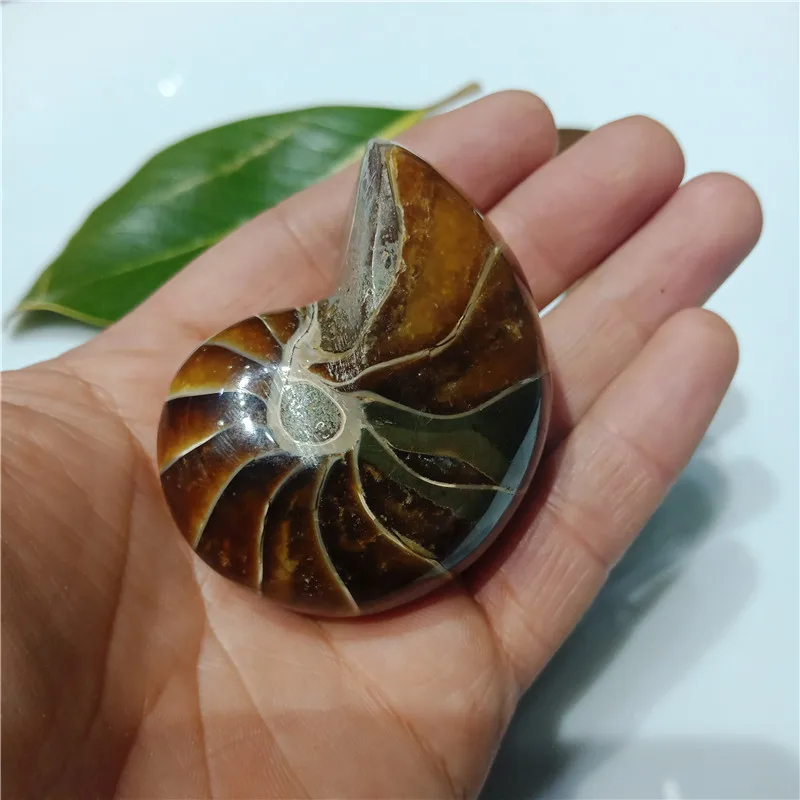 IMG20190224110945