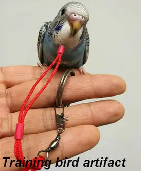 

Set of bird neck chain rope collar foot set ankle training bird rope bird supplies equipment collar suitable for wax mouth