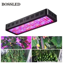 BOSSLED 300W 600W 800W 1000W 1200W 1500W 1800W 2000W Led grow light lamps panel for indoor plants grow light full spectrum led