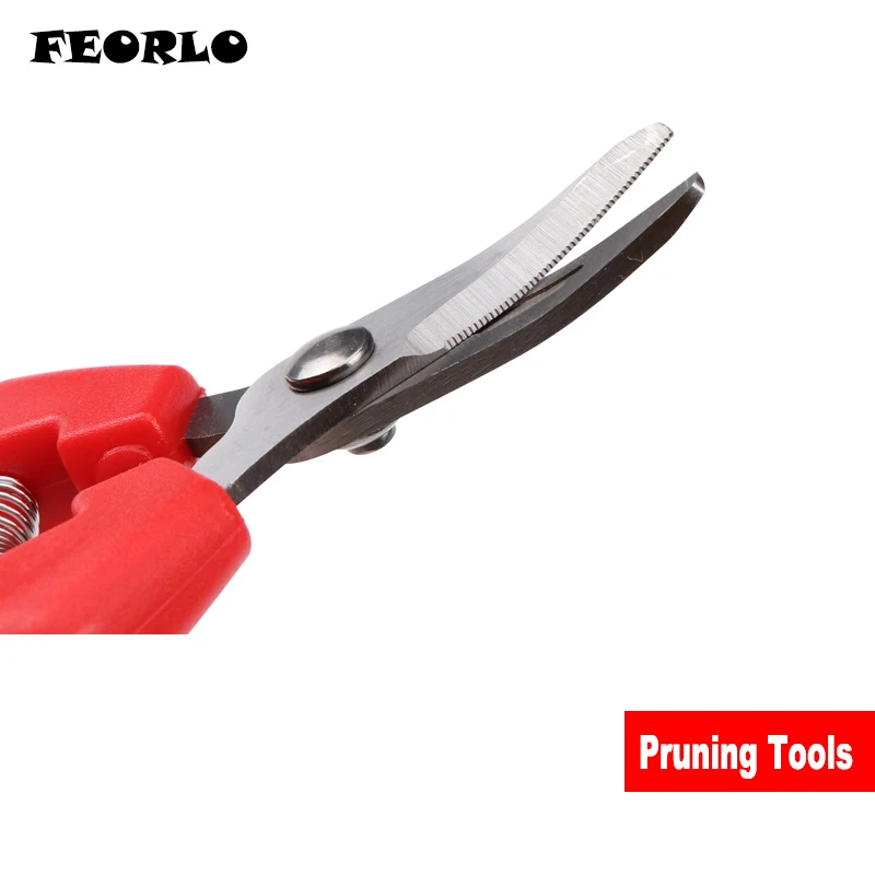 pruning tools  3