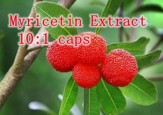 

1 pack high quality Myricetin Extract 10:1 caps 500mg x 300pcs=1 lot free shipping
