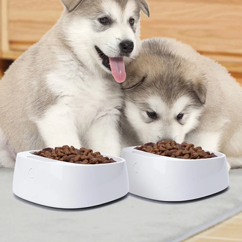 

Weighing Pet Bowl Smart Pet Bowl Dog Health Care Durable Digital Pet Bowl 2KG Pet Accessories Fresh