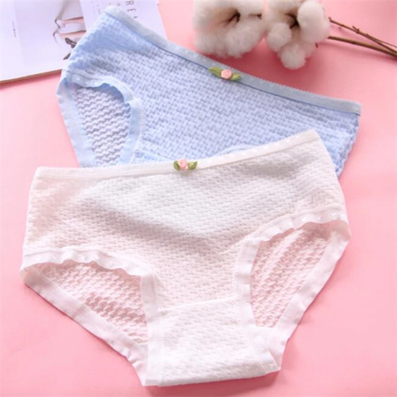 10PCS/Lot Children Cotton Underwear Young Girls Briefs Solid Low Waist ...