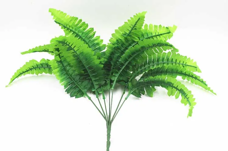 2725797452_1338463617