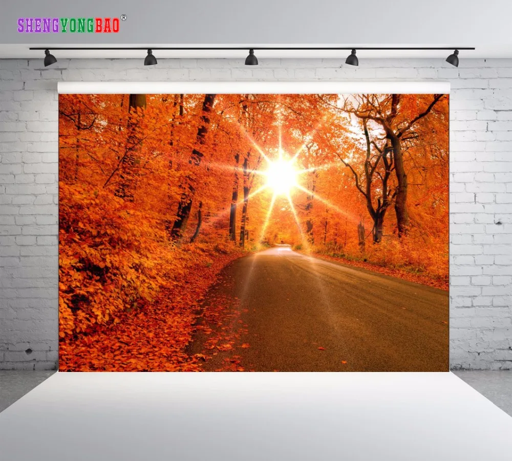 

SHENGYONGBAO Art Cloth Photography Backdrops Props Autumn Scenery theme Photo Studio Background SML-0022