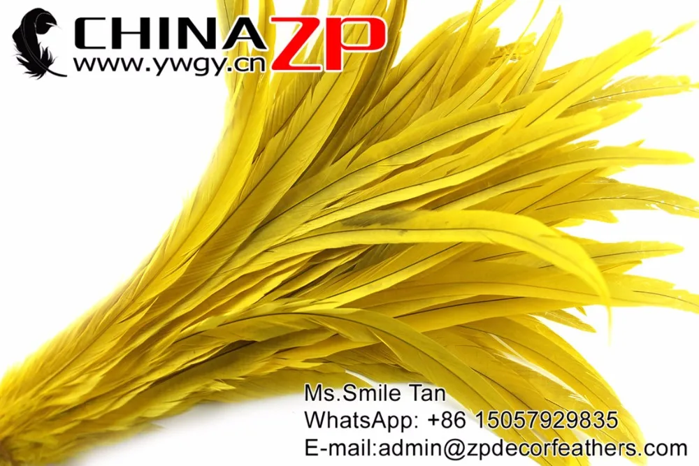 23 Rooster Tail Feather wholesale (5)