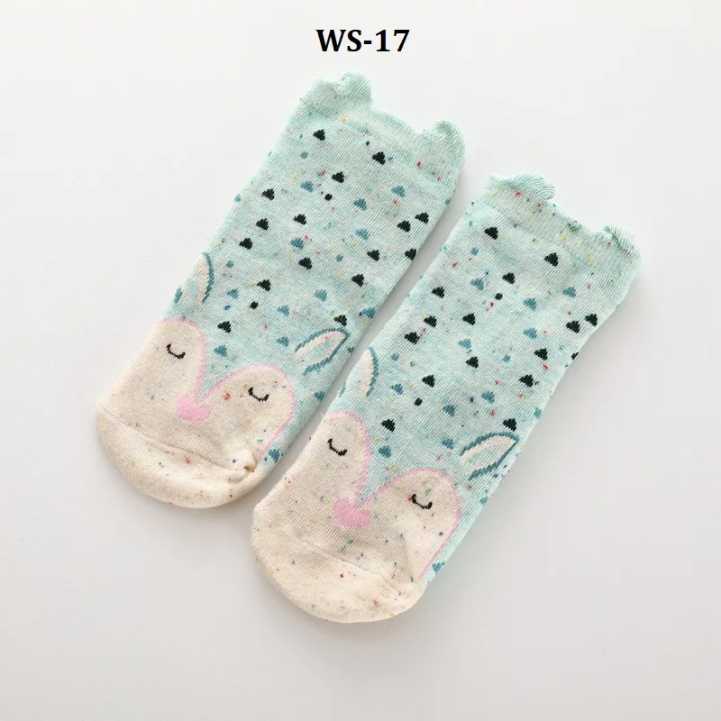 WS-17