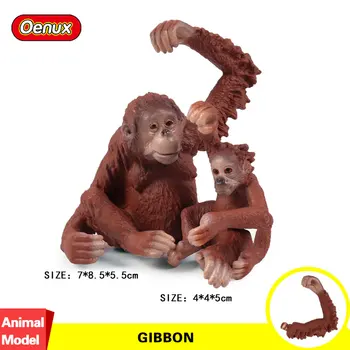 

Oenux Original Genuine Wild Jungle Gibbon Monkey Simulation Animal Cute Monkey Action Figures Model Figurine Collection Toy Gift