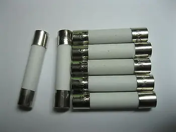 

100 Pcs Fast Blow Ceramic Fuses 1 A 250V 6mm x 30mm