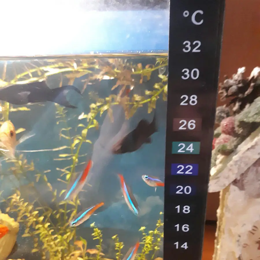 42800d04d076ebf1dd4910782c6205c808d968fc_original