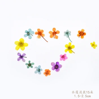 

Flower Invitation Water Lotus flower handmade dried flowers florizone flower embossed glue natural branches