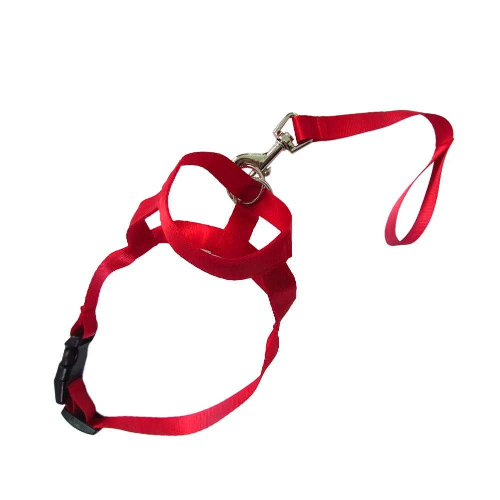 Dog Mouth Muzzle Adjustable Head Collar Walk Training Loop Stop Pulling