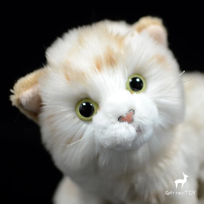 Плюшевые игрушки кошки Симпатичные абрикос фигурка кошки в реальной жизни Toy магазины на день рождения подарки для подруги