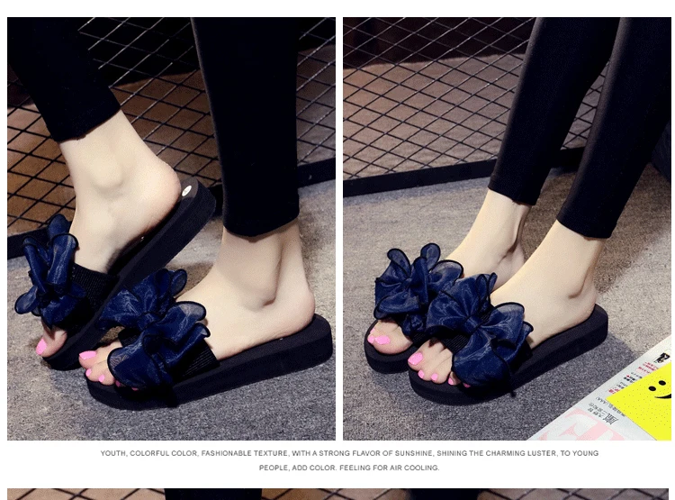 8585096264_1699425381_02