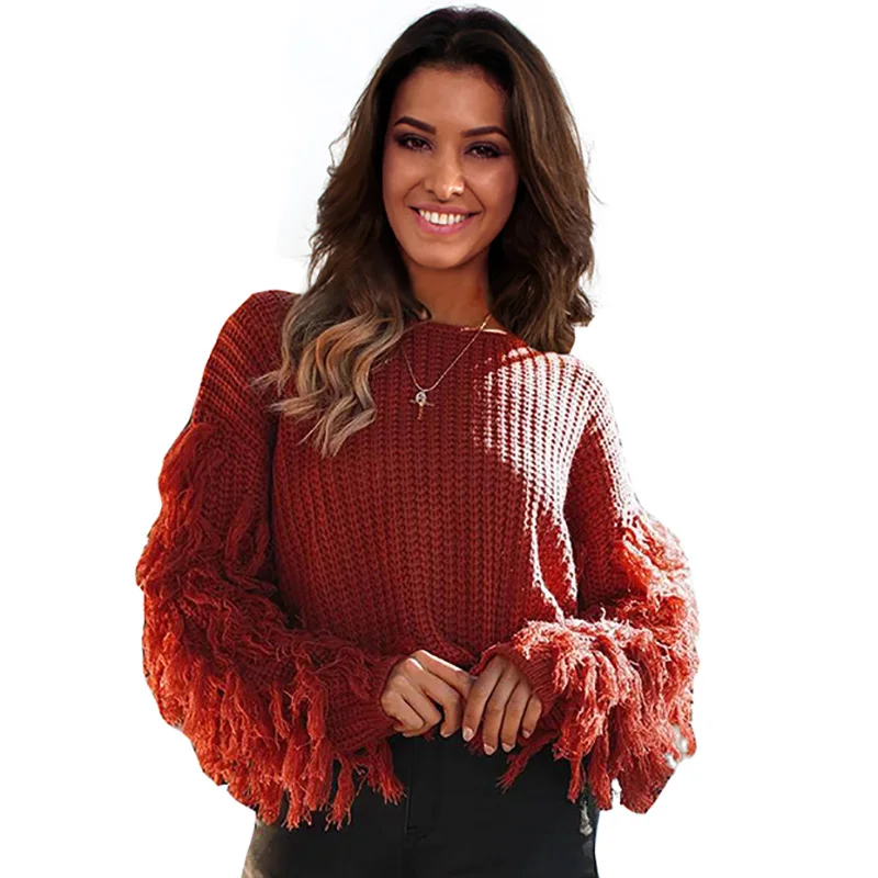 ShejoinSheenjoy Tassel Long Sleeve Knitted Sweater Women Tops Pullovers O-Neck Autumn Winter Short Pullover Women Sweaters (38)