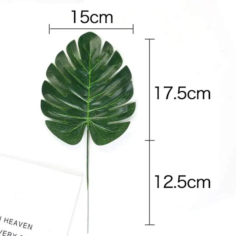 30cm