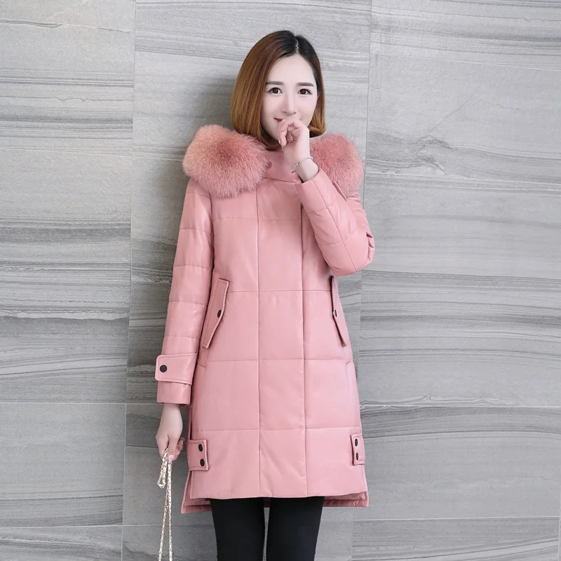 LF4261 (5)