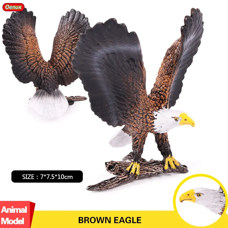 

Oenux Savage Bird Animals Aquila Action Figures Lifelike Eagle Bird Figurines Model Toy Collection Educational Toy For Kid Gift