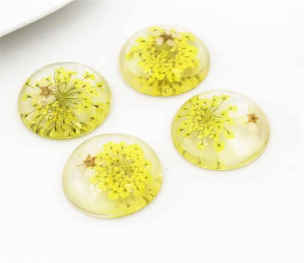 

New Fashion 5pcs 25mm Yellow Natural Dried White Chrysanthemum Flowers Cabochons Cameo-V1-04
