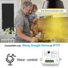 Module de prise WiFi Tuya Smart Life, commutateur d'éclairage, télécommande App, commande vocale, fonctionne avec Google Home Echo Alexa IFTTT ► Photo 3/6