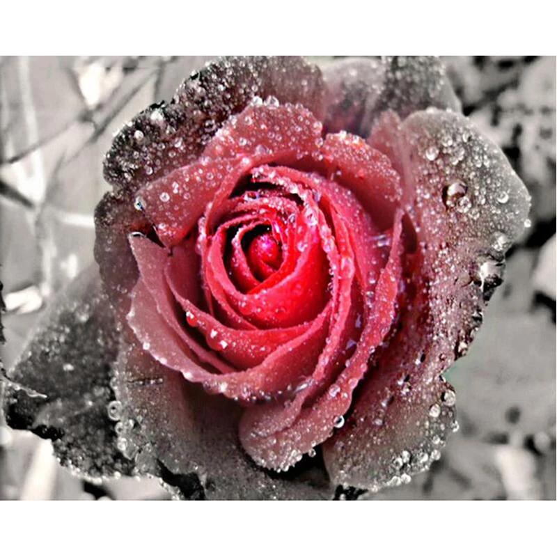 5d Diy Diamond Embroidery Snow Red Rose Flower Diamond Painting