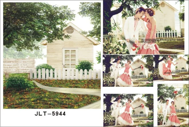 

300*500cm  Vinyl Muslin Photography Backdrops Prop  Wedding Dress theme JLT-5944