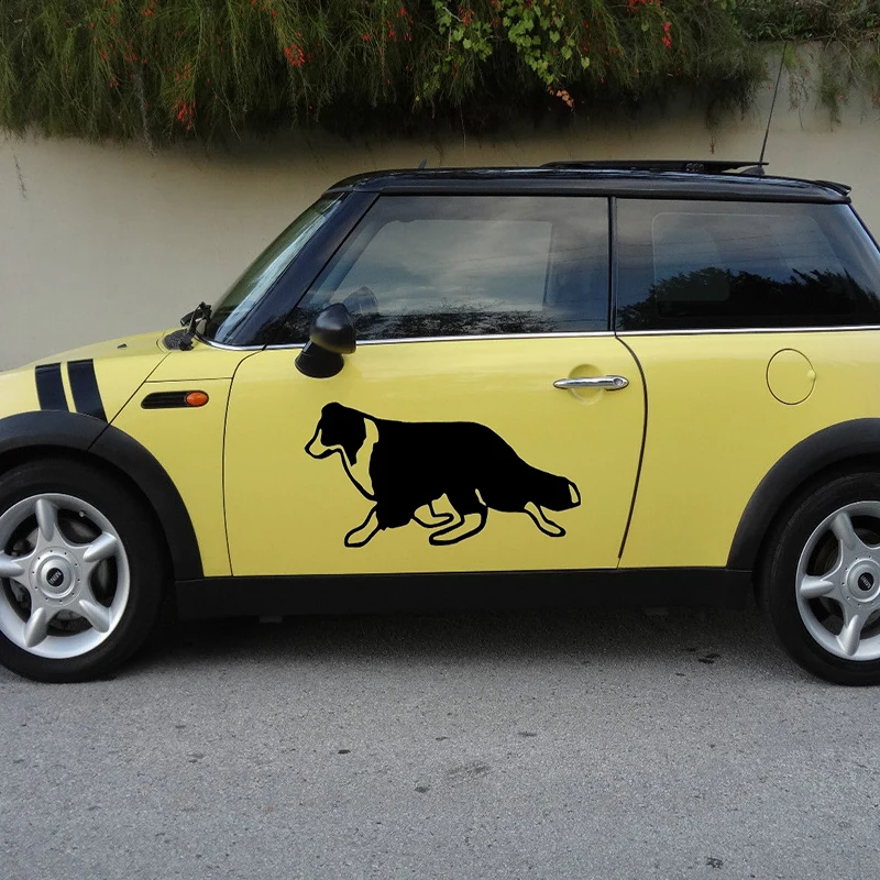 Border Collie Printed Vinyl Decal Car SUV Truck Auto High Quality Sticker HD