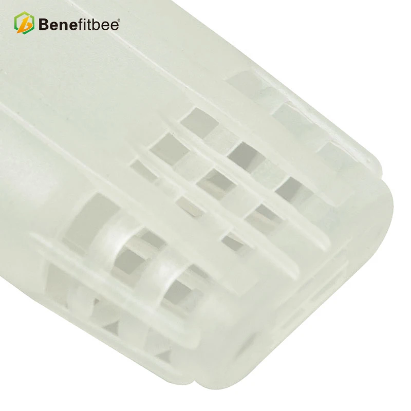 L01-800X800-3