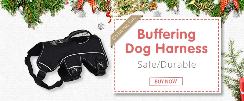 dog harness