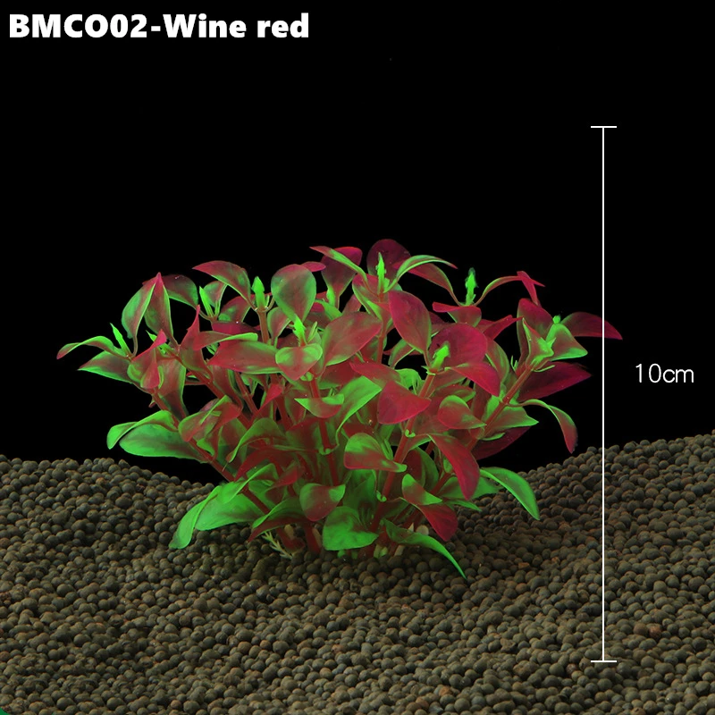 BMCO02 (4)