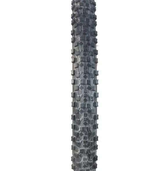54543254