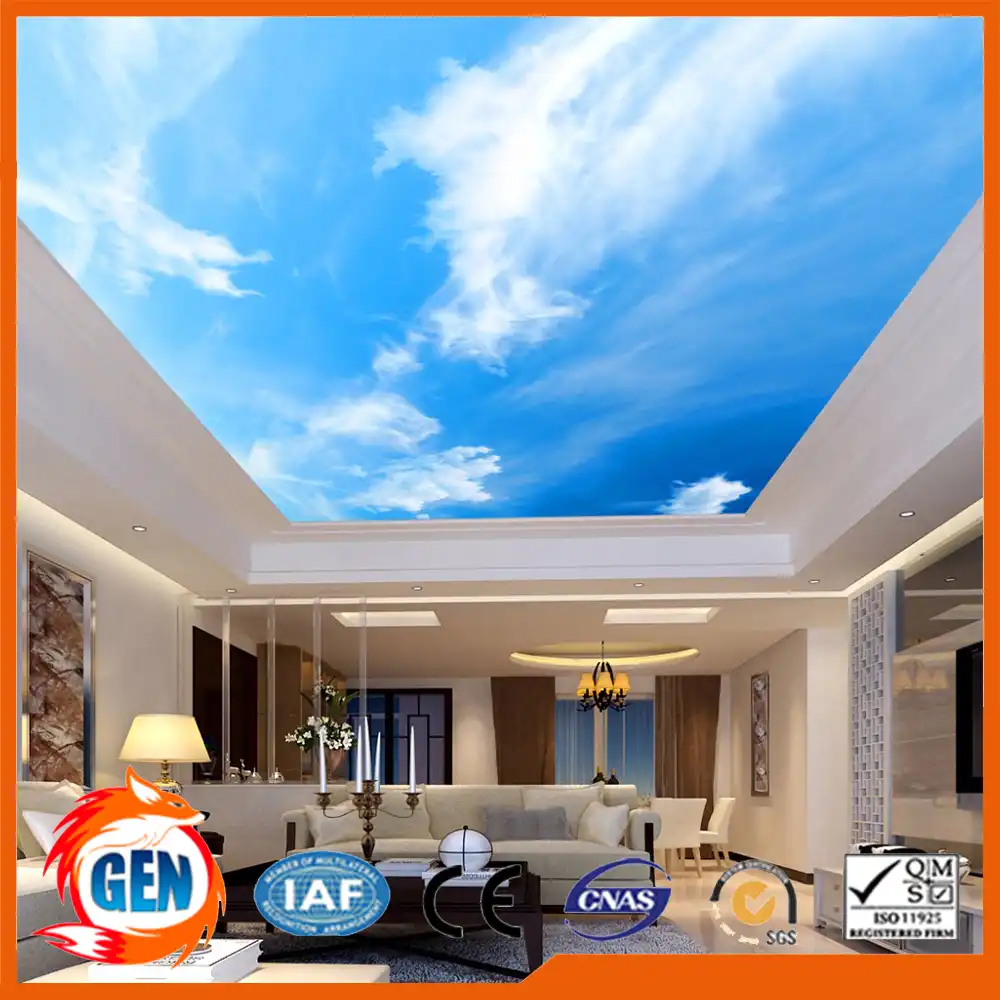 2017 New Hot Sale Pvc Stretch Ceiling Design False Ceiling Price