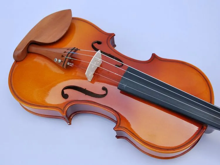 

v2220201  High quality Spruce violin 1/2 violin handcraft violino Musical Instruments violin bow violin strings case
